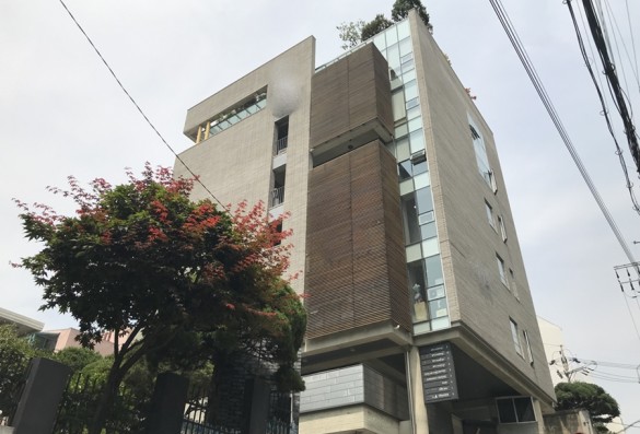 레벨차 심한 대지 활용의 정석! 훌륭한 가치상승의 최고의 예시!