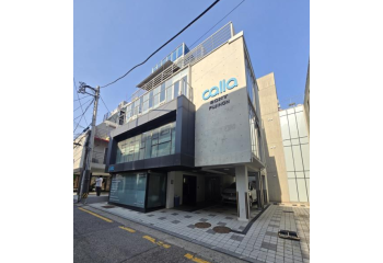 압구정역 꼬마빌딩