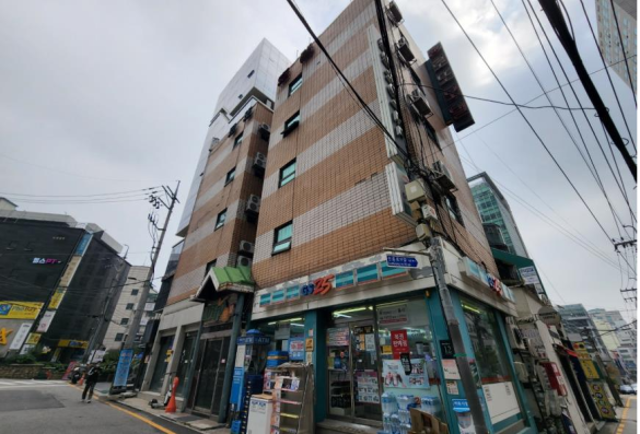 역삼동 신축부지(100평)